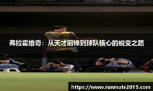 IM电竞